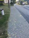 Najsvätejšie telo Božie 2017 Najsvätejšie telo Božie 2017
